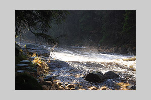 fotografia krajobrazu z rzeką